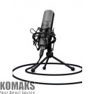 Accessory for gamers TRUST GXT 242 Lance Streaming Microphone