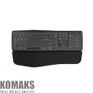 Keyboard Natec wireless bluetooth keyboard PORIFERA x-scissors, backlit ergonomic us layout