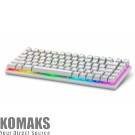 Клавиатура Dell Alienware Pro Wireless Gaming Keyboard - US (QWERTY) (Lunar Light)